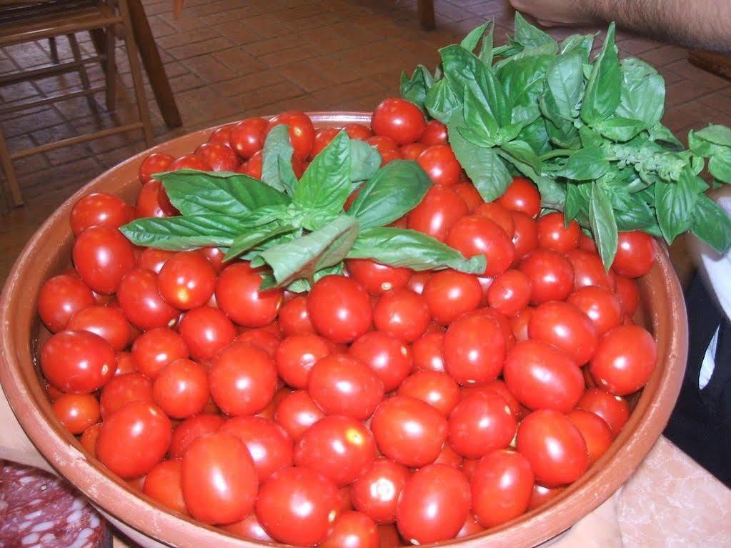Touring Club Italiano - Marina Di Camerota Esterno foto